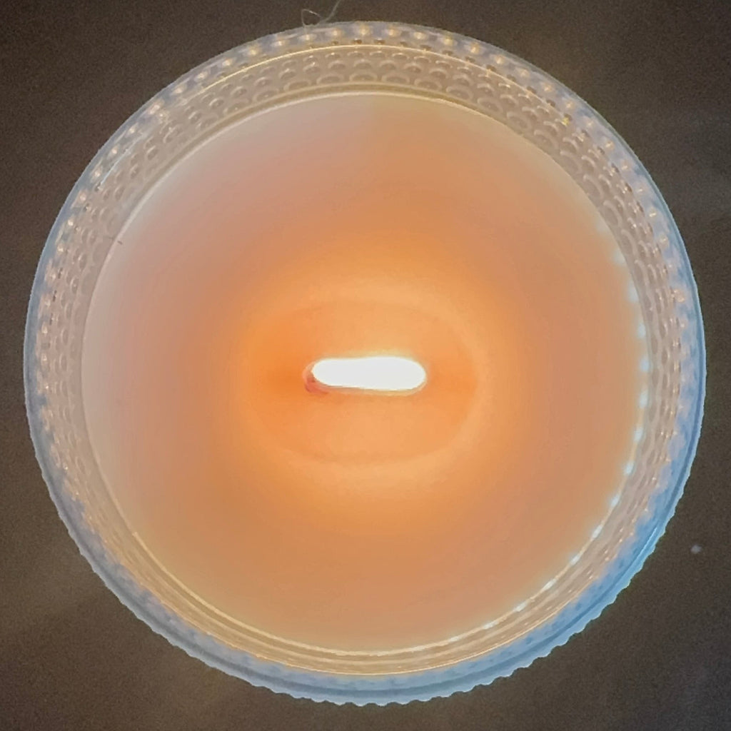 Southern Berry Basket 8 oz Signature Candle (FREE WAX MELT)