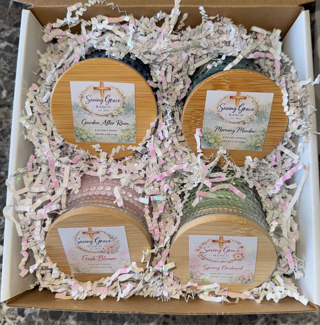 The Garden Revival Collection- Spring 2026